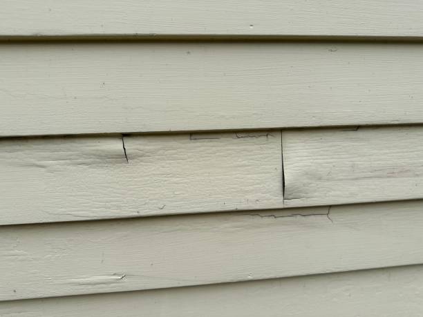 How To Choose The Right Materials for Your Siding Installation in 'Cudjoe Key, FL